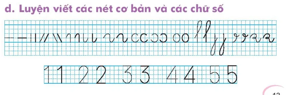d. Luyện viết các nét cơ bản và các chữ số