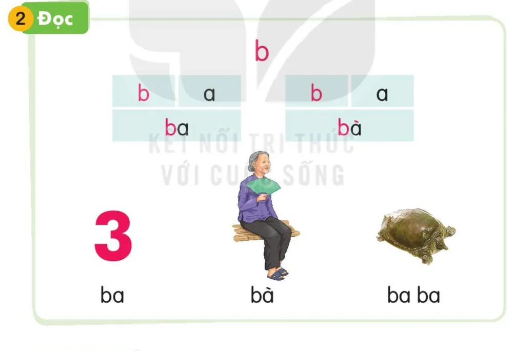 số 3 – ba; bà ngồi quạt – bà; con ba ba – ba ba