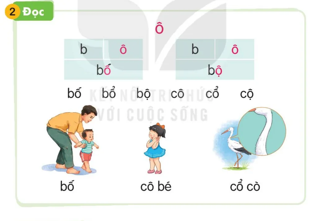 bố tập đi cho bé – bố; cô bé – cô bé; cổ con cò – cổ cò