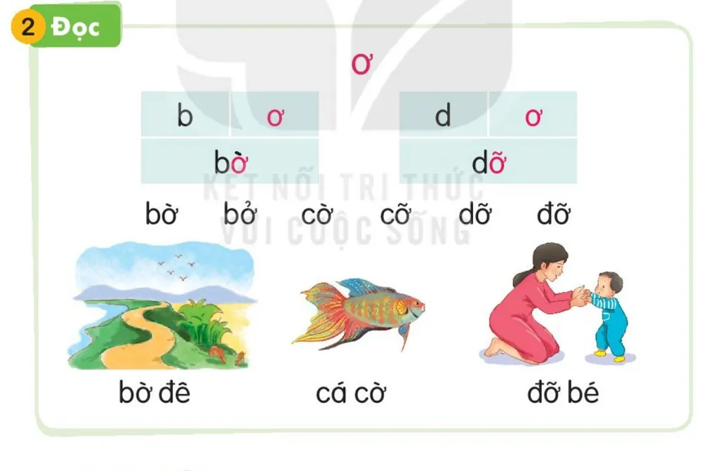 con đường trên bờ đê – bờ đê; con cá cờ – cá cờ; mẹ đỡ bé tập đi – đỡ bé