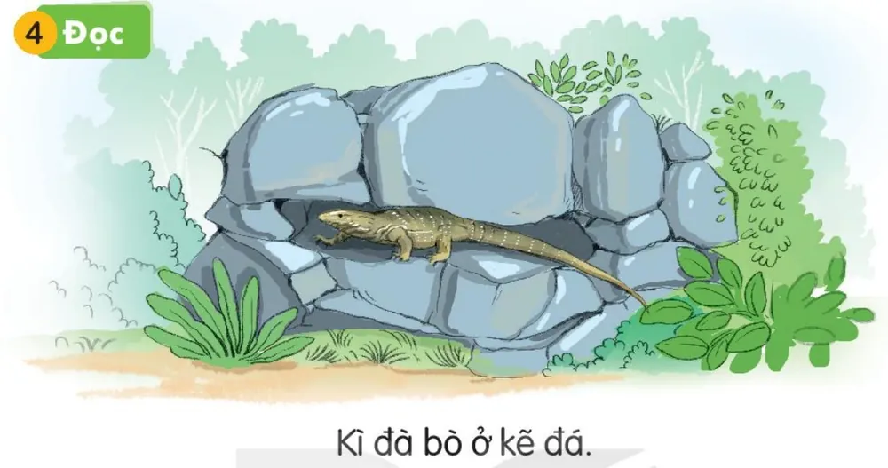 con kì đà bò trên kẽ đá.