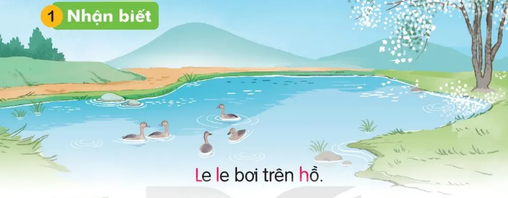đàn le le bơi trên mặt hồ.