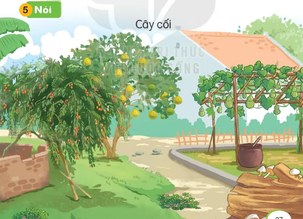 vườn nhà có cây bưởi, cây ớt, giàn bầu, cây chuối.