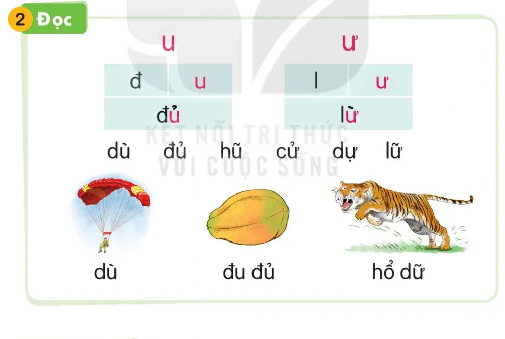 chiếc dù – dù; quả đu đủ – đu đủ; con hổ nhe nanh – hổ dữ