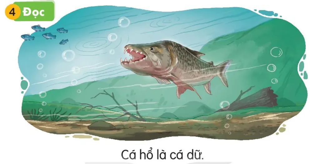 con cá hổ há miệng nhe răng dưới nước.