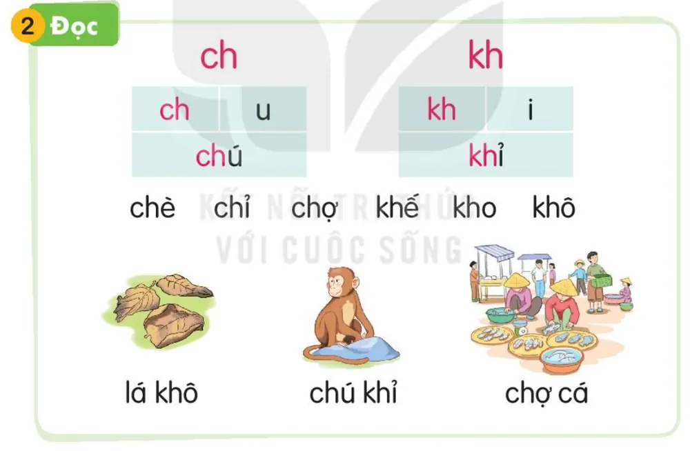 mấy chiếc lá khô – lá khô; chú khỉ – chú khỉ; cảnh chợ bán cá – chợ cá