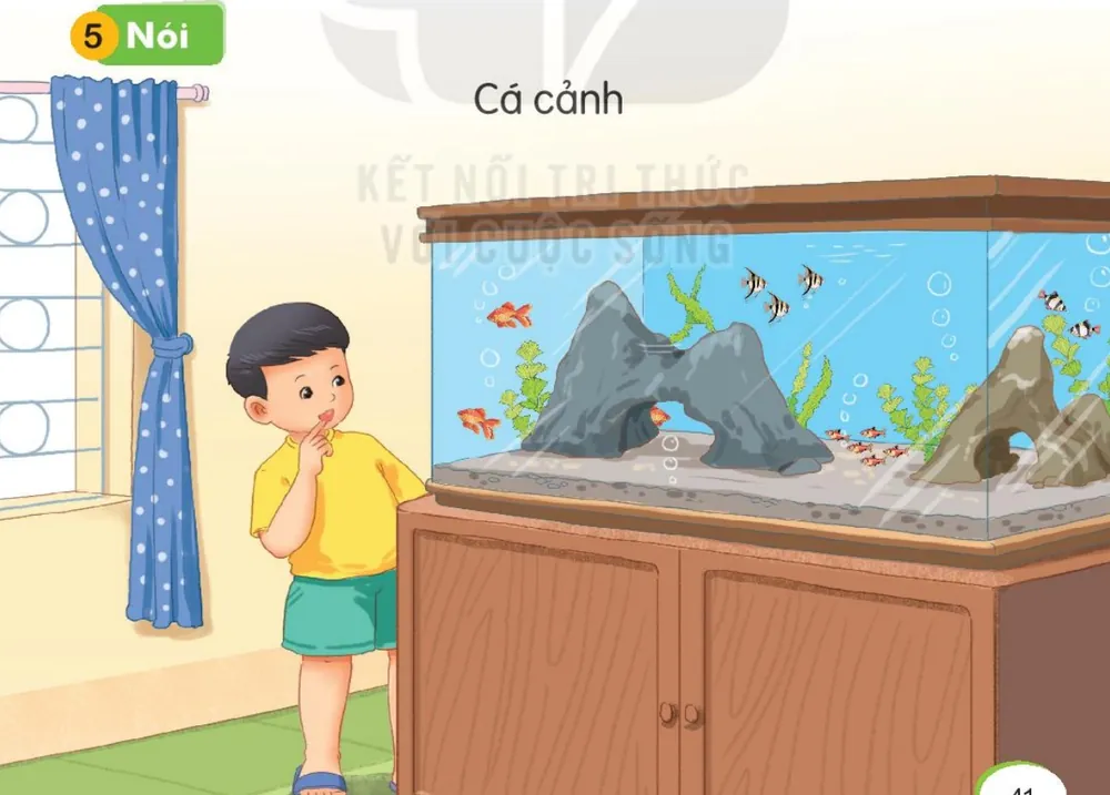 bạn nhỏ ngắm bể cá cảnh trong nhà.