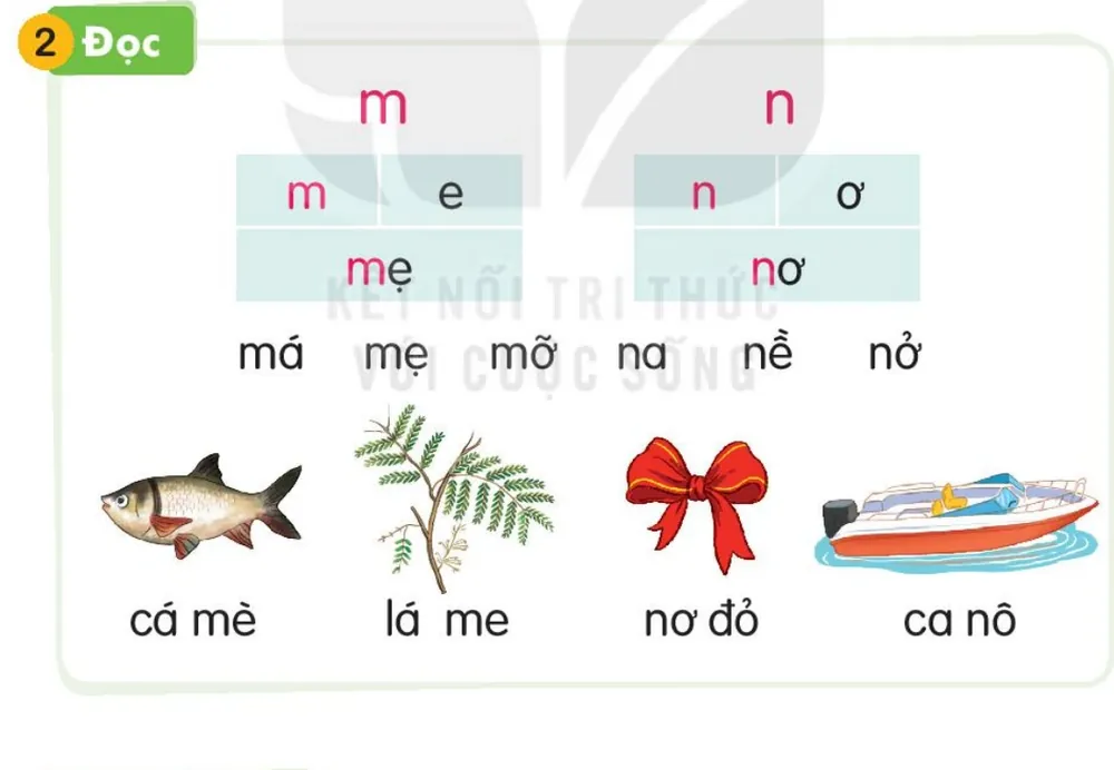 Đọc