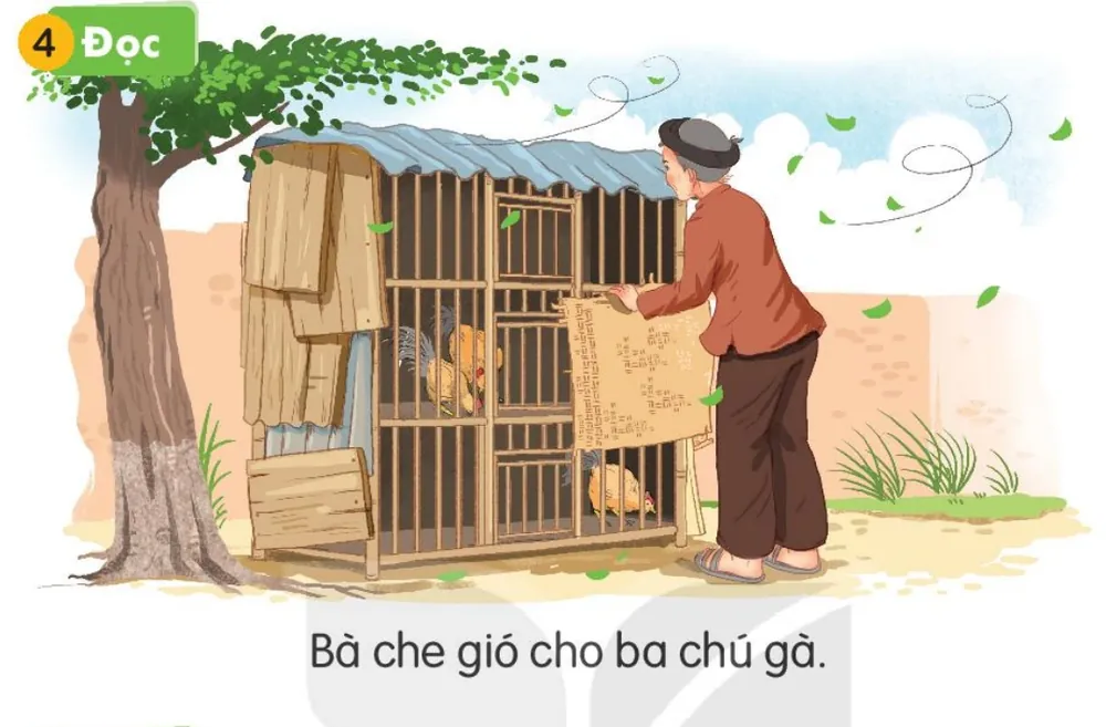 Bà lấy tấm cót che chuồng gà khi trời nổi gió. Câu dưới tranh: "Bà che gió cho ba chú gà."