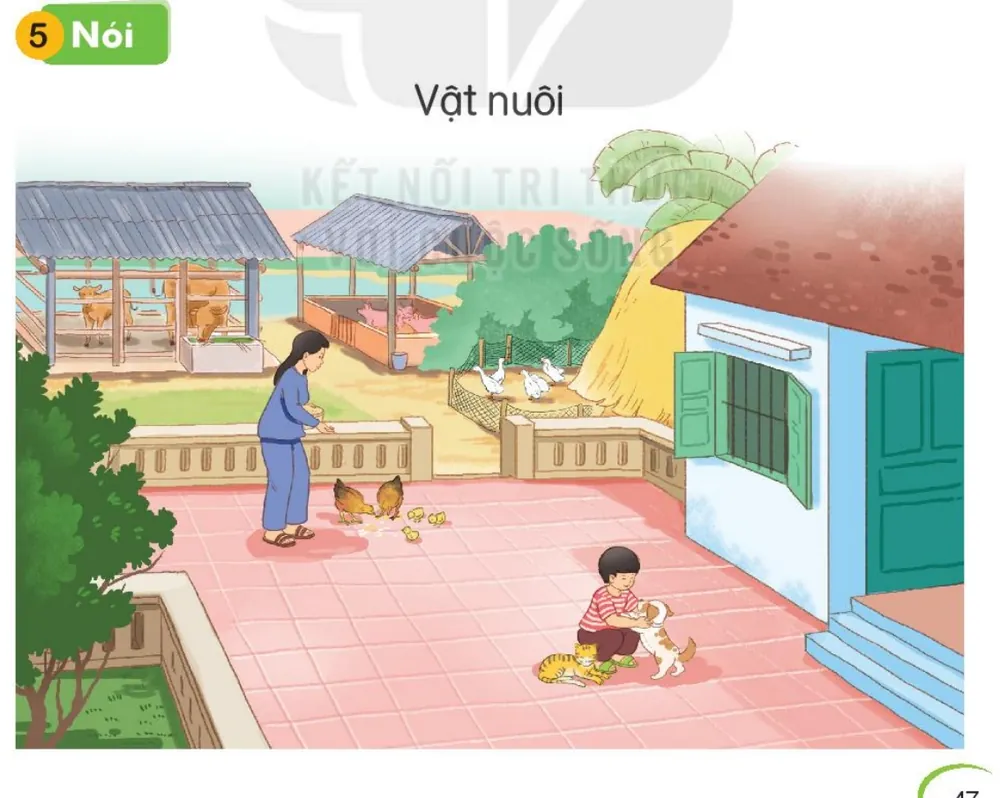 Sân nhà có mẹ cho gà ăn, chuồng bò, chuồng lợn, đàn vịt, bạn nhỏ chơi với chó và mèo.