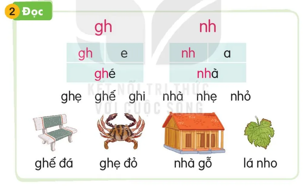 Đọc