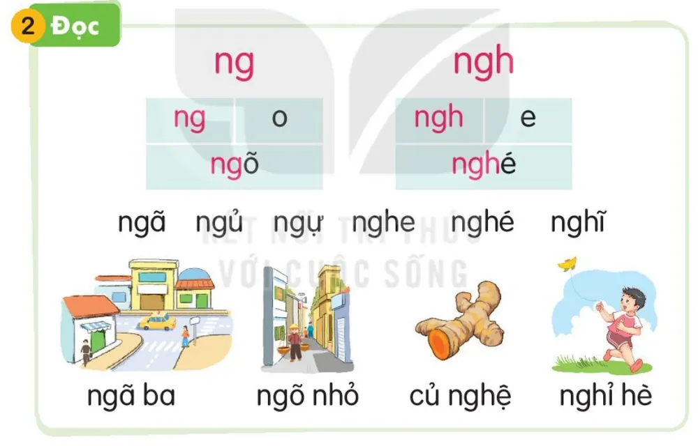 Đọc