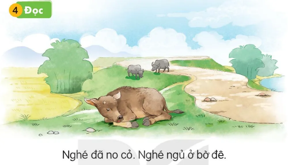 Chú nghé nằm ngủ trên bờ đê cỏ xanh. Câu dưới tranh: "Nghé đã no cỏ. Nghé ngủ ở bờ đê."