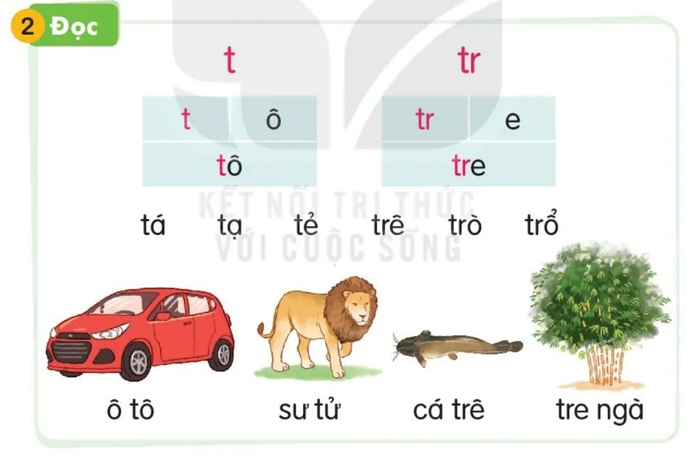 Đọc