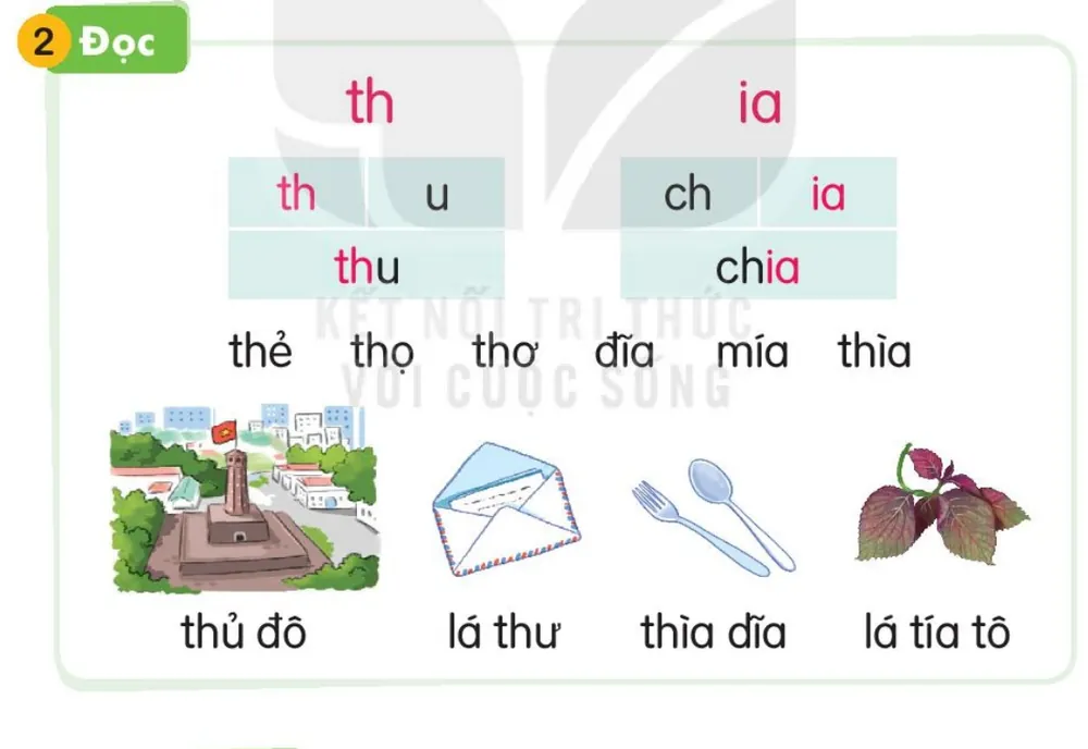 Đọc
