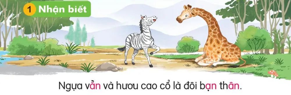 ngựa vằn và hươu cao cổ bên nhau. Câu dưới tranh: "Ngựa vằn và hươu cao cổ là đôi bạn thân."