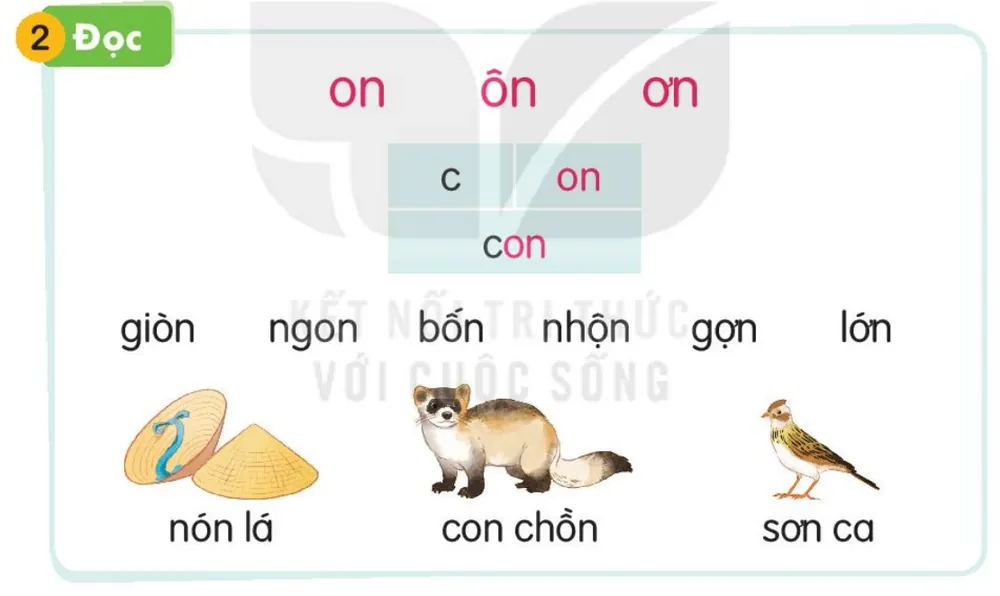 Đọc
