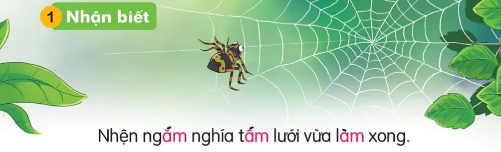 chú nhện bên tấm lưới vừa giăng. Câu dưới tranh: "Nhện ngắm nghía tấm lưới vừa làm xong."