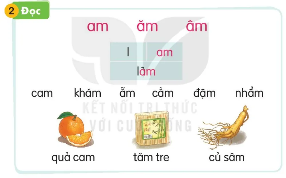 Đọc
