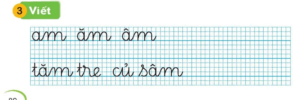 Viết