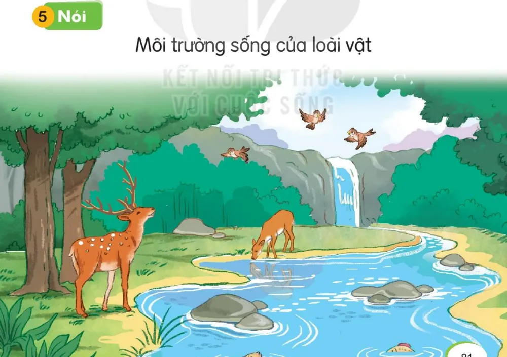 hươu nai bên suối trong rừng, chim bay, cá bơi dưới nước.
