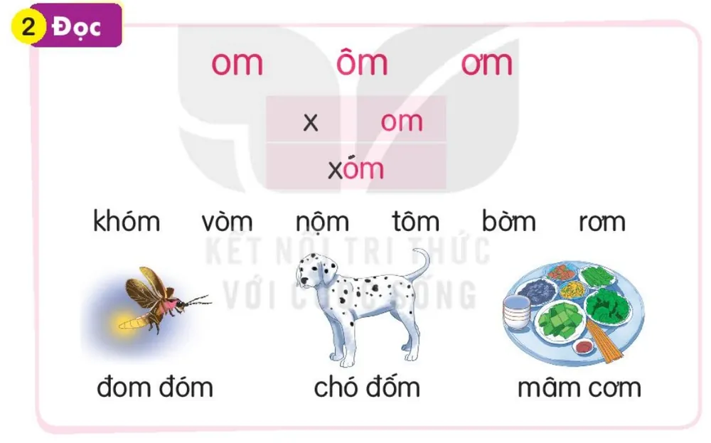 Đọc