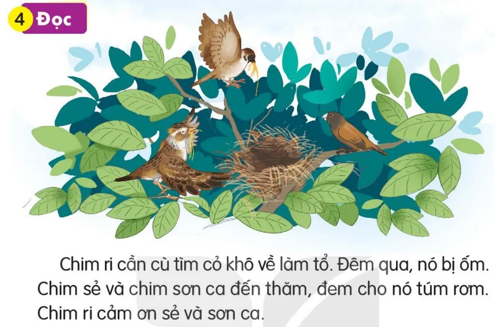 Đọc