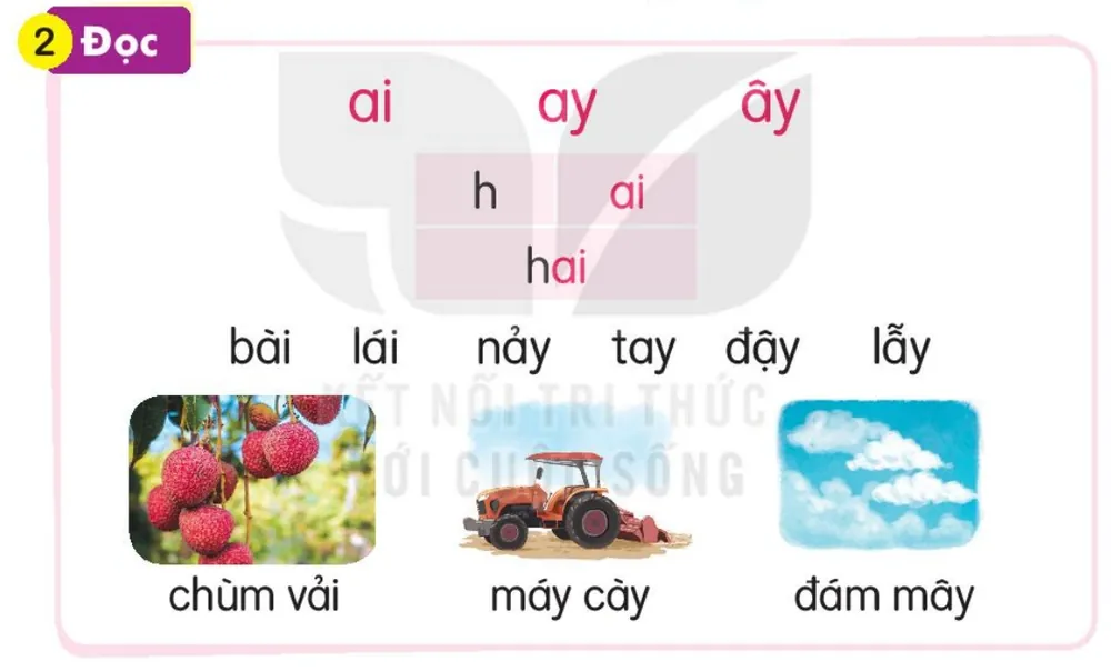 Đọc