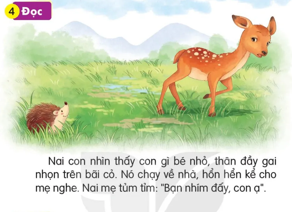 Đọc
