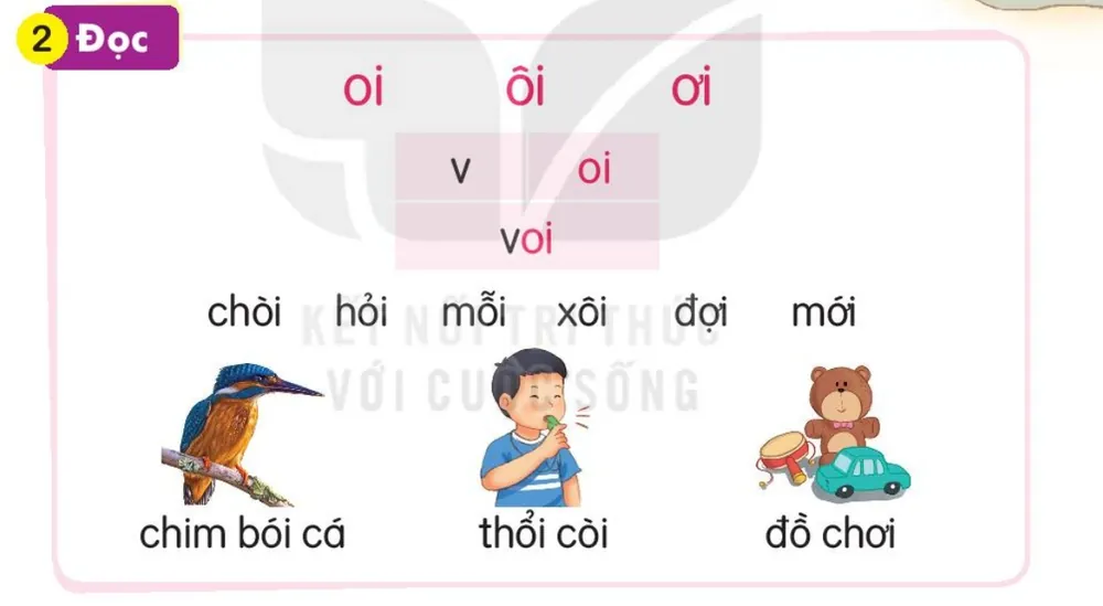 Đọc