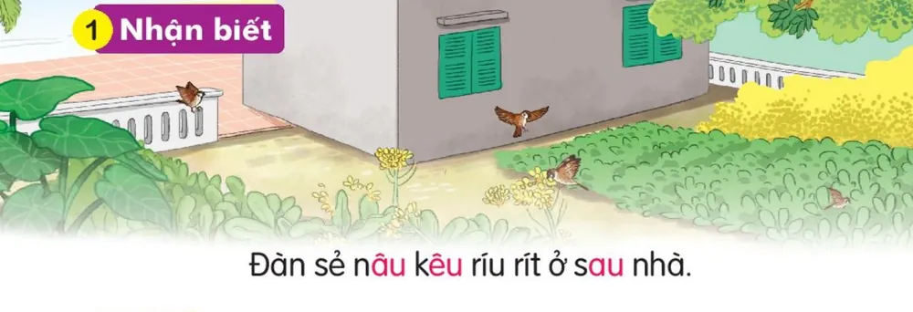 đàn chim sẻ bay quanh vườn rau sau ngôi nhà. Câu dưới tranh: "Đàn sẻ nâu kêu ríu rít ở sau nhà."