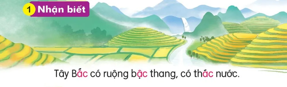 ruộng bậc thang và thác nước ở vùng núi. Câu dưới tranh: "Tây Bắc có ruộng bậc thang, có thác nước."