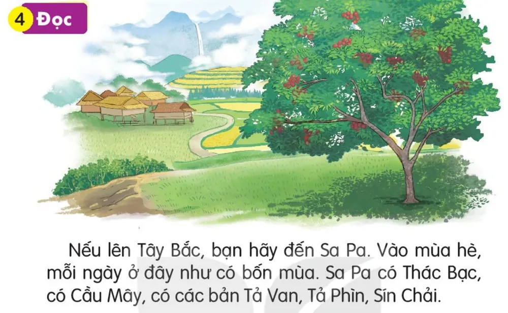 Đọc