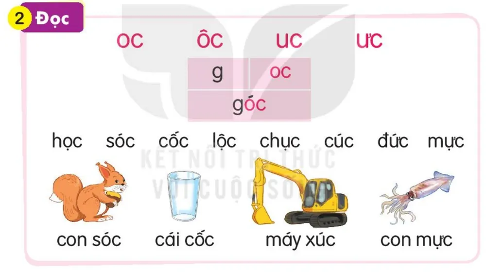 Đọc
