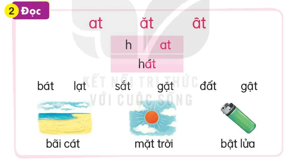 Đọc
