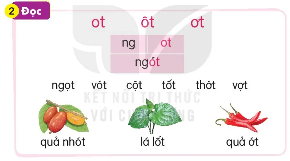 Đọc