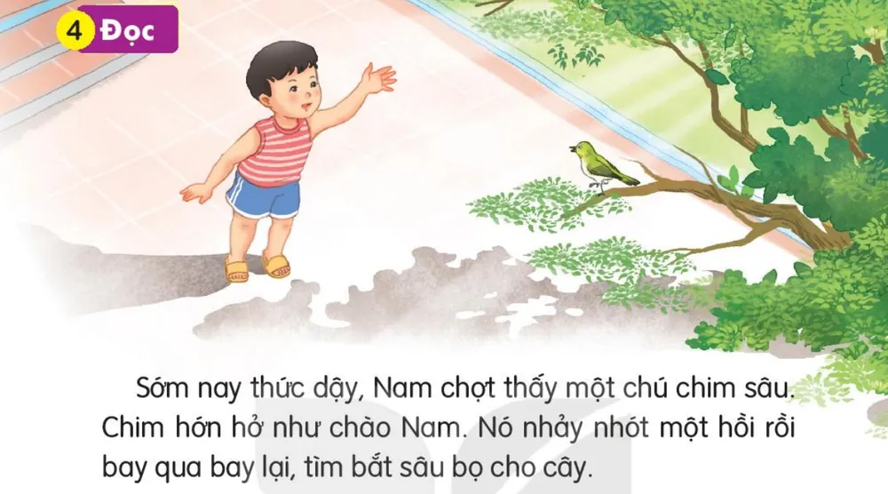 Đọc