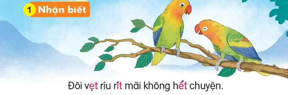 đôi vẹt đậu trên cành cây. Câu dưới tranh: "Đôi vẹt ríu rít mãi không hết chuyện."
