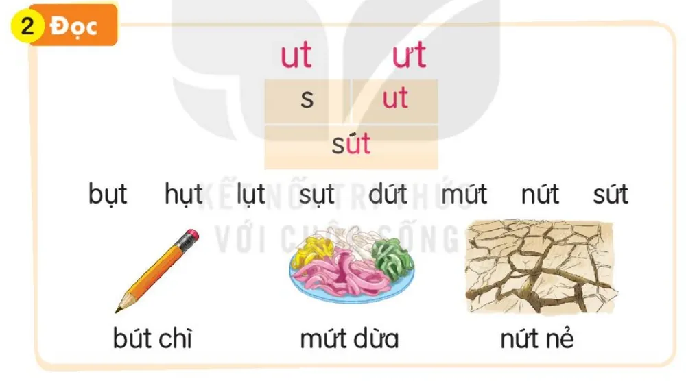 Đọc