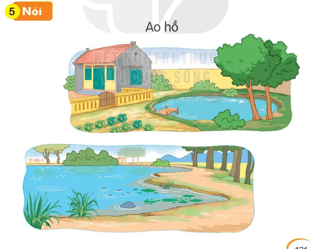 cái ao cạnh ngôi nhà; một hồ nước rộng.