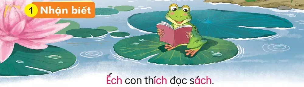 chú ếch ngồi trên lá sen đọc sách. Câu dưới tranh: "Ếch con thích đọc sách."