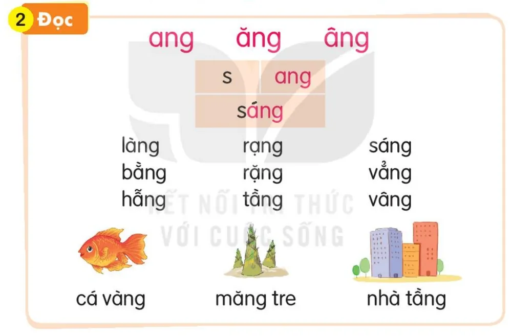 Đọc