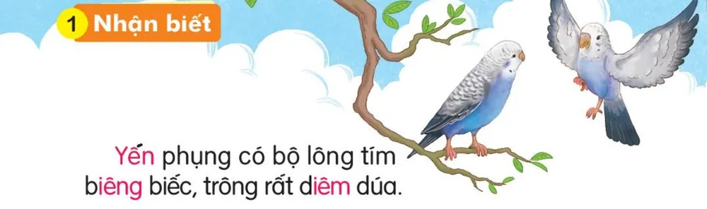 hai con chim yến phụng trên cành cây. Câu dưới tranh: "Yến phụng có bộ lông tím biêng biếc, trông rất diêm dúa."