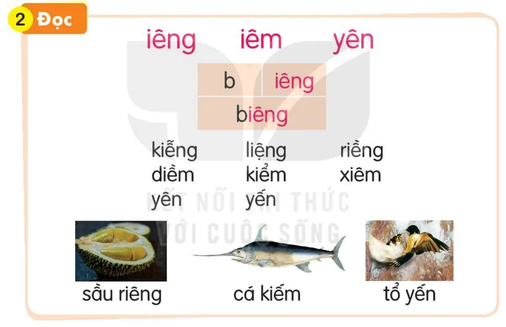 Đọc