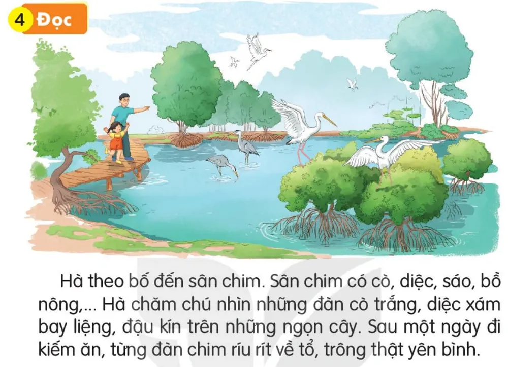 Đọc