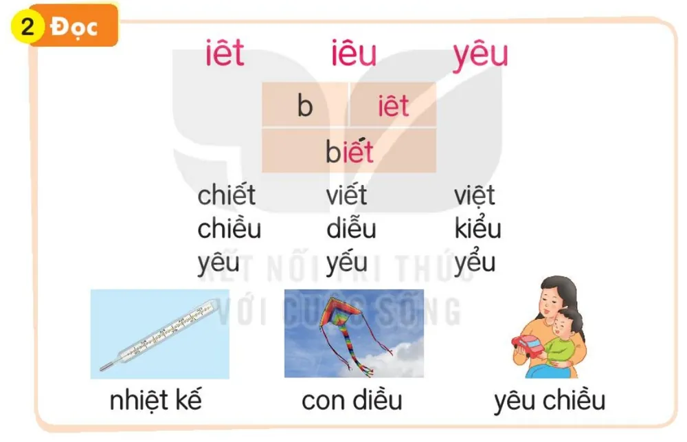 Đọc