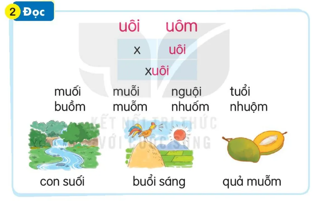 Đọc
