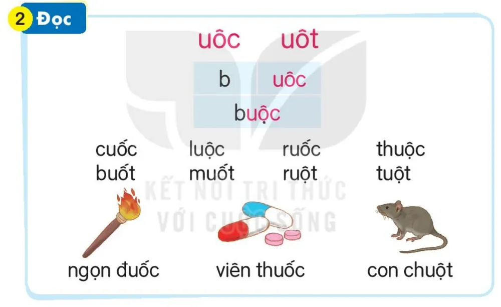 Đọc