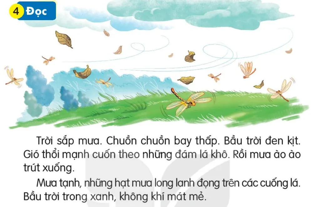 Đọc