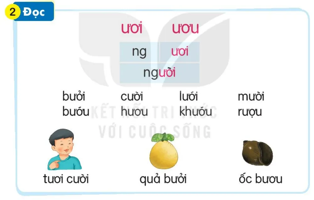 Đọc